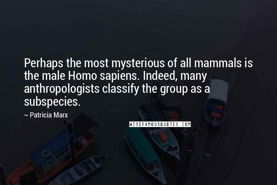 Patricia Marx Quotes: Perhaps the most mysterious of all mammals is the male Homo sapiens. Indeed, many anthropologists classify the group as a subspecies.