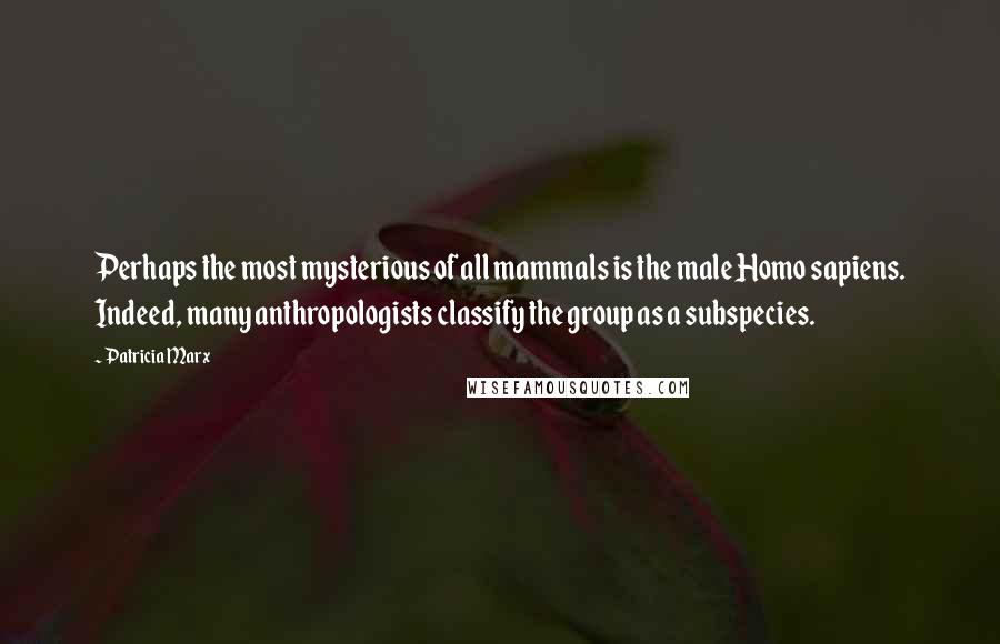 Patricia Marx Quotes: Perhaps the most mysterious of all mammals is the male Homo sapiens. Indeed, many anthropologists classify the group as a subspecies.