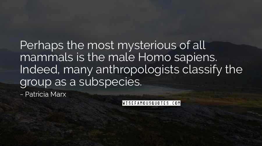 Patricia Marx Quotes: Perhaps the most mysterious of all mammals is the male Homo sapiens. Indeed, many anthropologists classify the group as a subspecies.