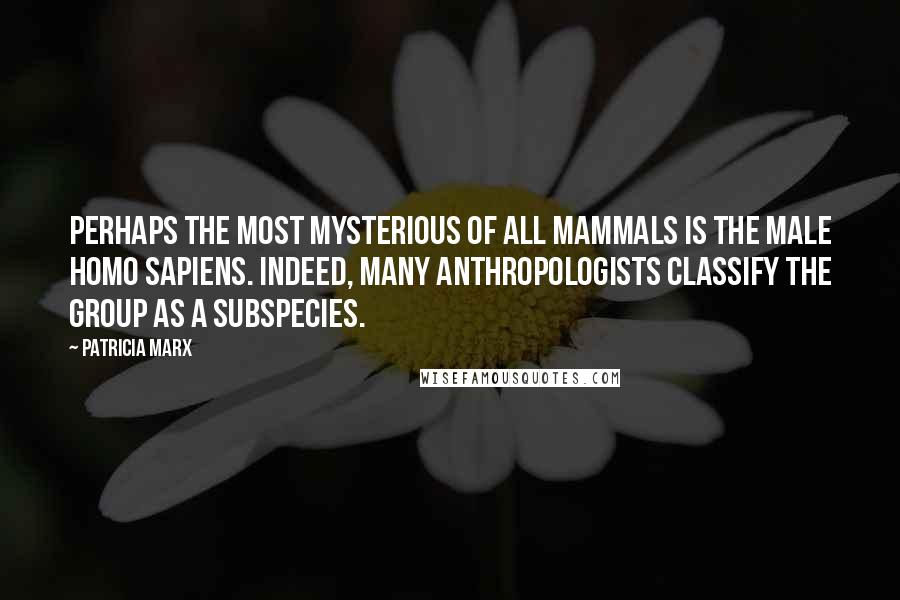 Patricia Marx Quotes: Perhaps the most mysterious of all mammals is the male Homo sapiens. Indeed, many anthropologists classify the group as a subspecies.