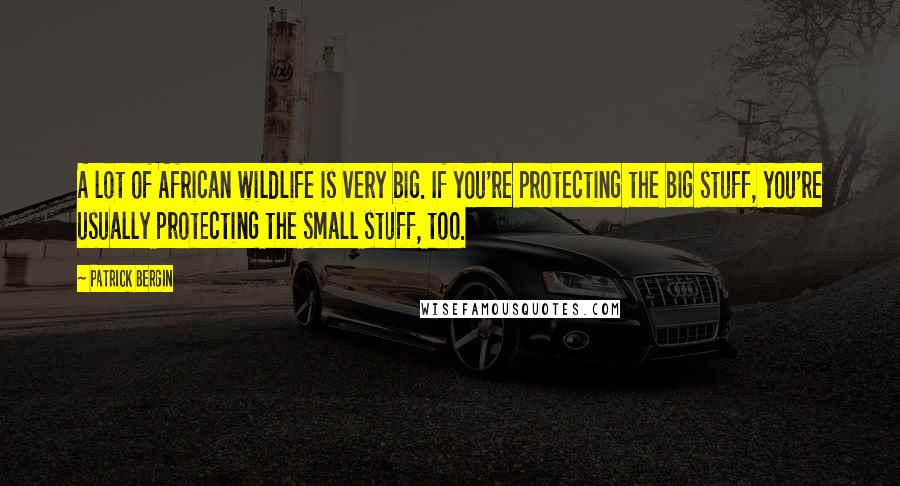 Patrick Bergin Quotes: A lot of African wildlife is very big. If you're protecting the big stuff, you're usually protecting the small stuff, too.