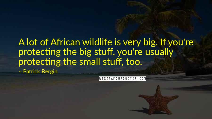 Patrick Bergin Quotes: A lot of African wildlife is very big. If you're protecting the big stuff, you're usually protecting the small stuff, too.