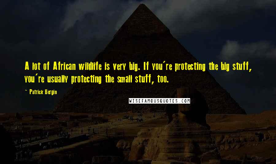 Patrick Bergin Quotes: A lot of African wildlife is very big. If you're protecting the big stuff, you're usually protecting the small stuff, too.