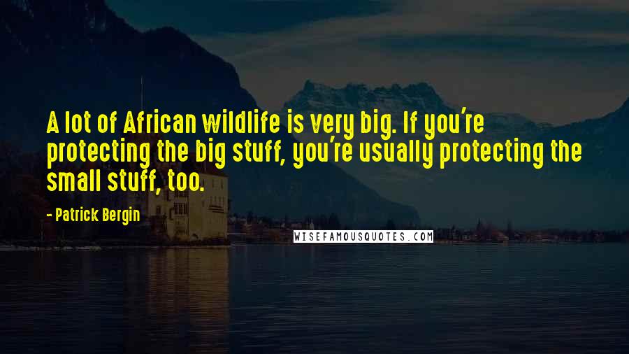 Patrick Bergin Quotes: A lot of African wildlife is very big. If you're protecting the big stuff, you're usually protecting the small stuff, too.