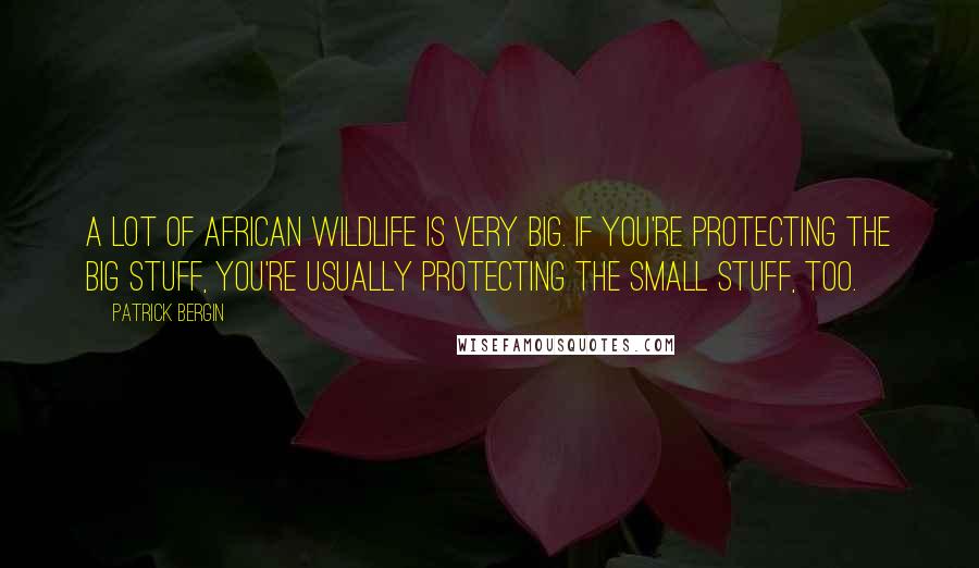 Patrick Bergin Quotes: A lot of African wildlife is very big. If you're protecting the big stuff, you're usually protecting the small stuff, too.