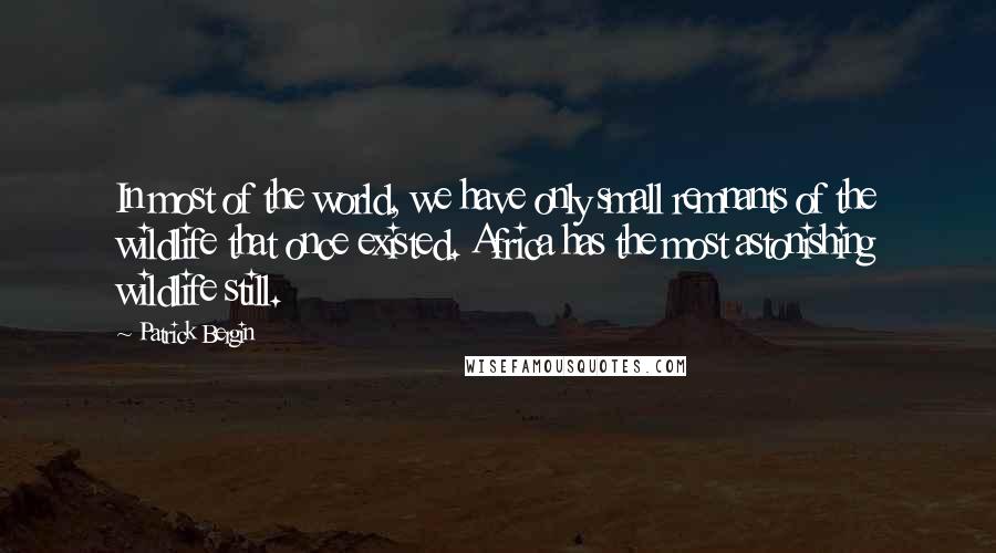 Patrick Bergin Quotes: In most of the world, we have only small remnants of the wildlife that once existed. Africa has the most astonishing wildlife still.