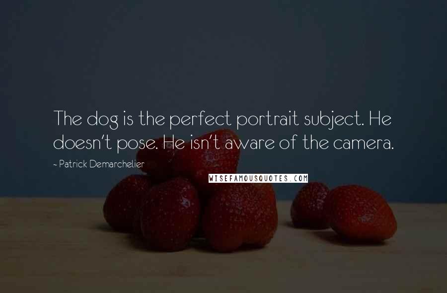 Patrick Demarchelier Quotes: The dog is the perfect portrait subject. He doesn't pose. He isn't aware of the camera.