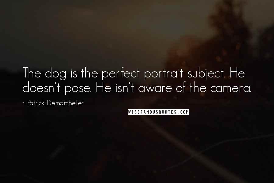 Patrick Demarchelier Quotes: The dog is the perfect portrait subject. He doesn't pose. He isn't aware of the camera.