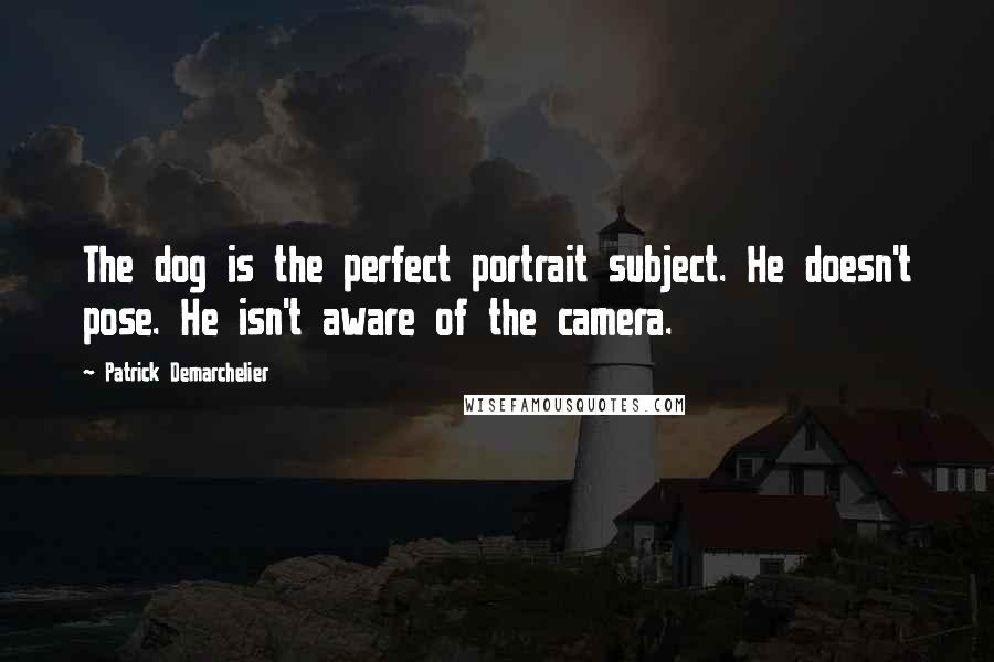 Patrick Demarchelier Quotes: The dog is the perfect portrait subject. He doesn't pose. He isn't aware of the camera.