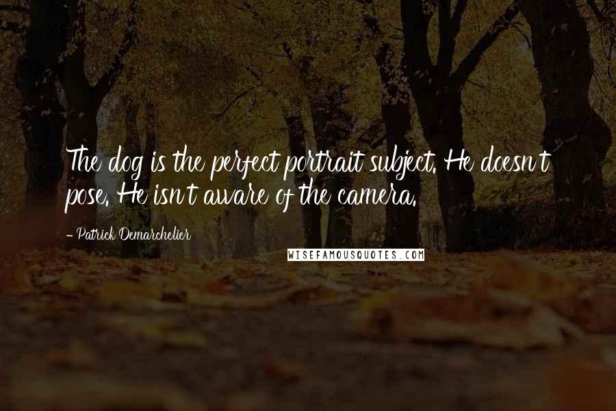 Patrick Demarchelier Quotes: The dog is the perfect portrait subject. He doesn't pose. He isn't aware of the camera.