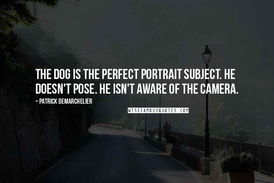 Patrick Demarchelier Quotes: The dog is the perfect portrait subject. He doesn't pose. He isn't aware of the camera.