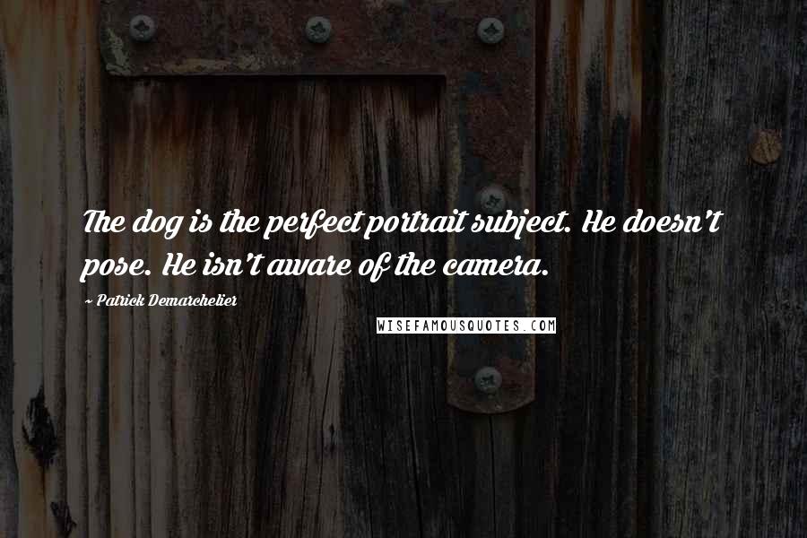 Patrick Demarchelier Quotes: The dog is the perfect portrait subject. He doesn't pose. He isn't aware of the camera.