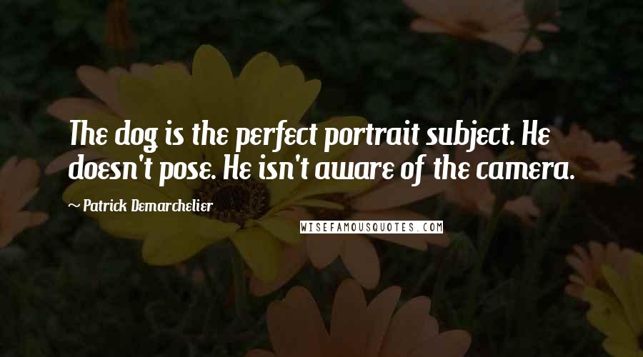 Patrick Demarchelier Quotes: The dog is the perfect portrait subject. He doesn't pose. He isn't aware of the camera.