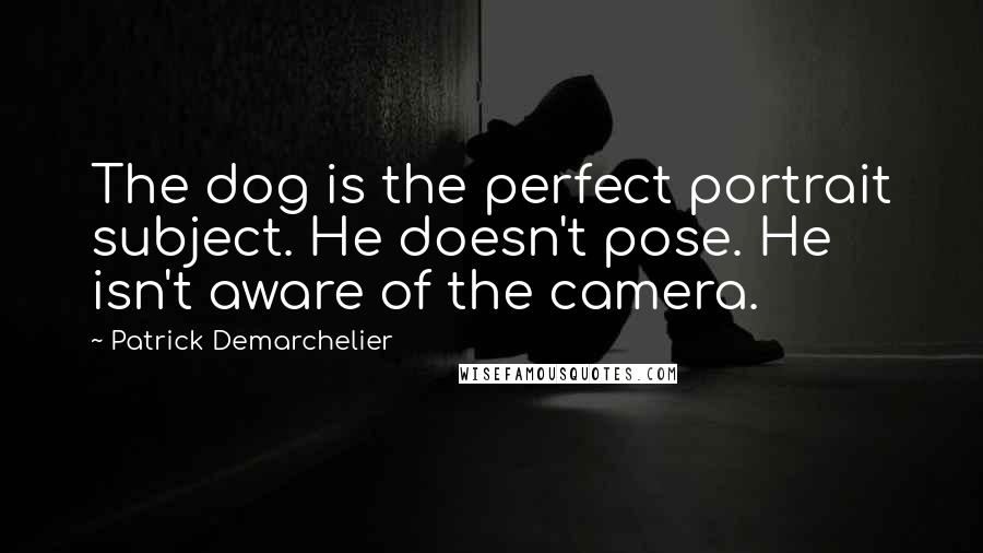 Patrick Demarchelier Quotes: The dog is the perfect portrait subject. He doesn't pose. He isn't aware of the camera.