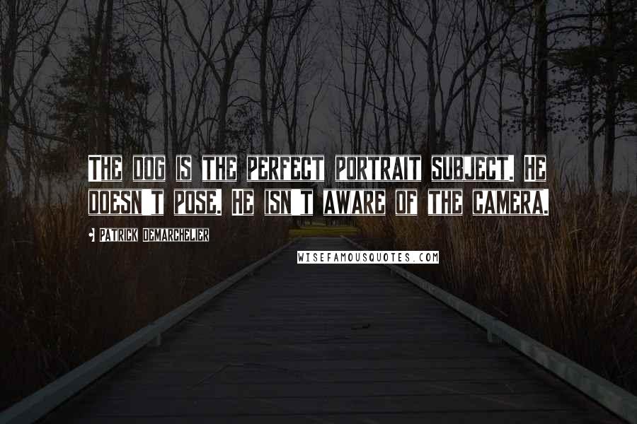 Patrick Demarchelier Quotes: The dog is the perfect portrait subject. He doesn't pose. He isn't aware of the camera.