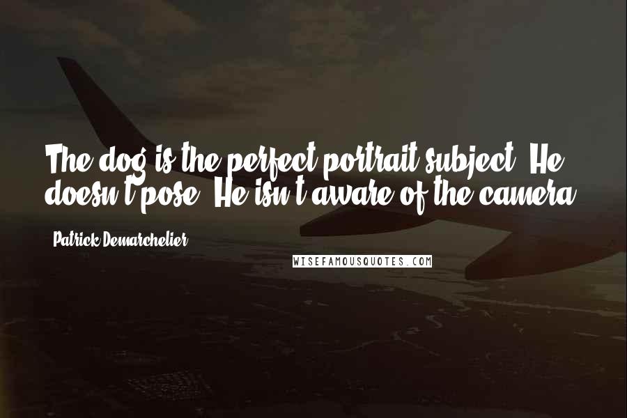 Patrick Demarchelier Quotes: The dog is the perfect portrait subject. He doesn't pose. He isn't aware of the camera.