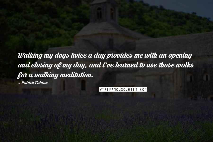 Patrick Fabian Quotes: Walking my dogs twice a day provides me with an opening and closing of my day, and I've learned to use those walks for a walking meditation.