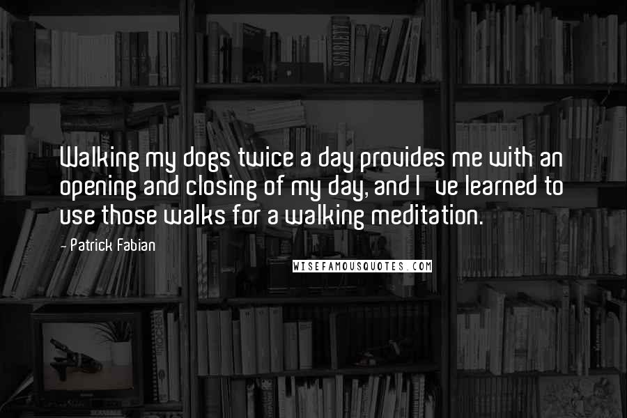 Patrick Fabian Quotes: Walking my dogs twice a day provides me with an opening and closing of my day, and I've learned to use those walks for a walking meditation.