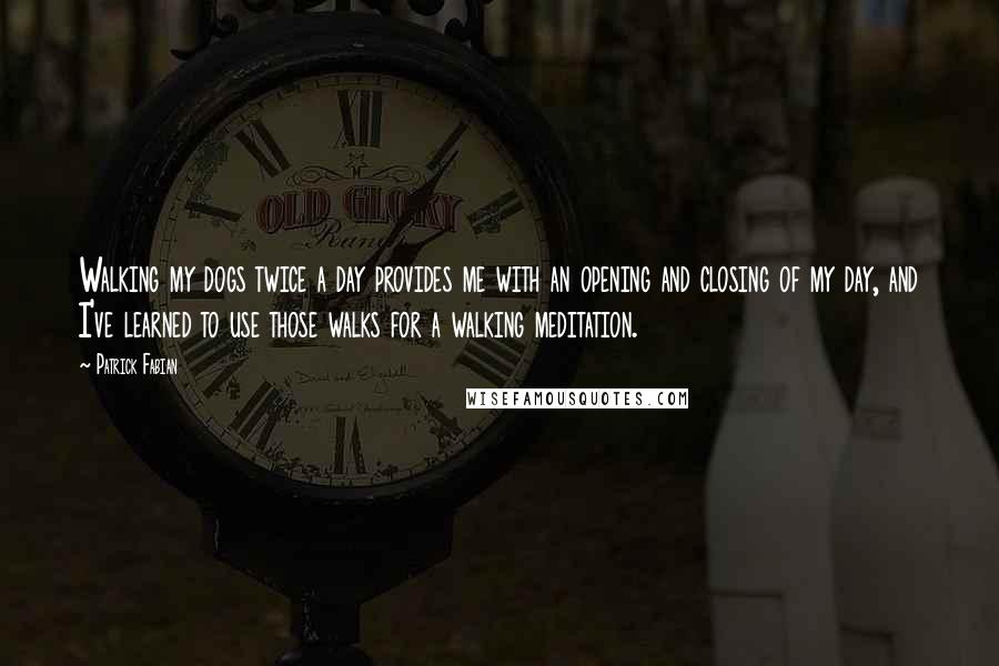 Patrick Fabian Quotes: Walking my dogs twice a day provides me with an opening and closing of my day, and I've learned to use those walks for a walking meditation.