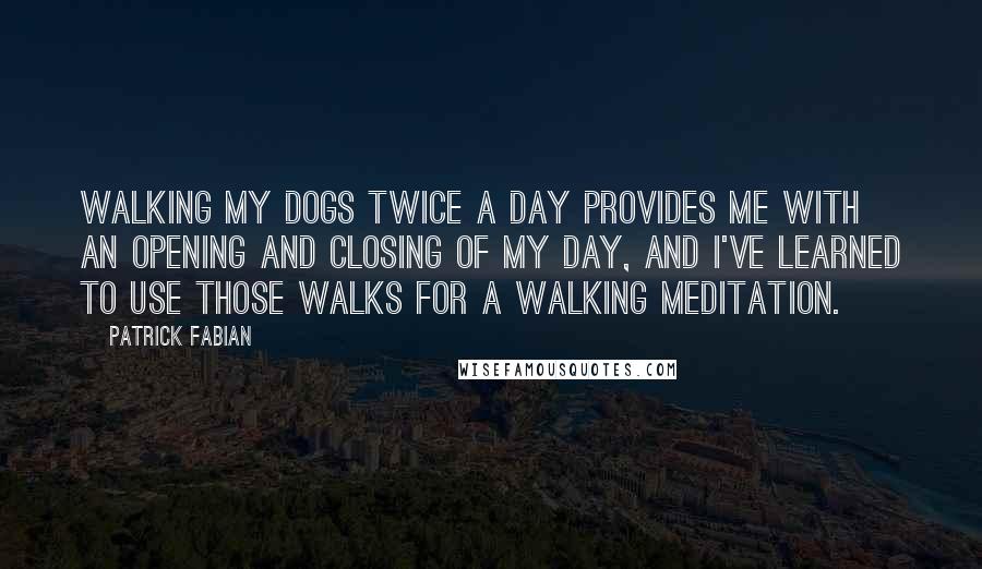 Patrick Fabian Quotes: Walking my dogs twice a day provides me with an opening and closing of my day, and I've learned to use those walks for a walking meditation.