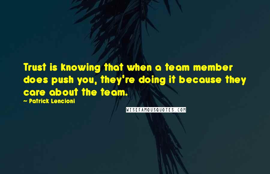 Patrick Lencioni Quotes: Trust is knowing that when a team member does push you, they're doing it because they care about the team.