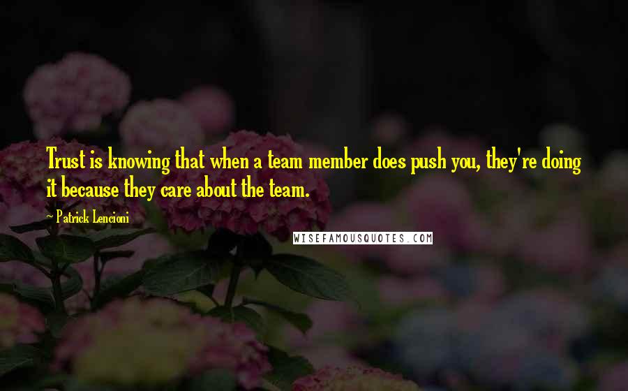 Patrick Lencioni Quotes: Trust is knowing that when a team member does push you, they're doing it because they care about the team.