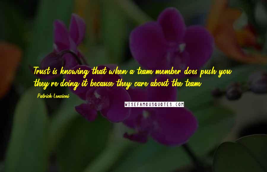 Patrick Lencioni Quotes: Trust is knowing that when a team member does push you, they're doing it because they care about the team.