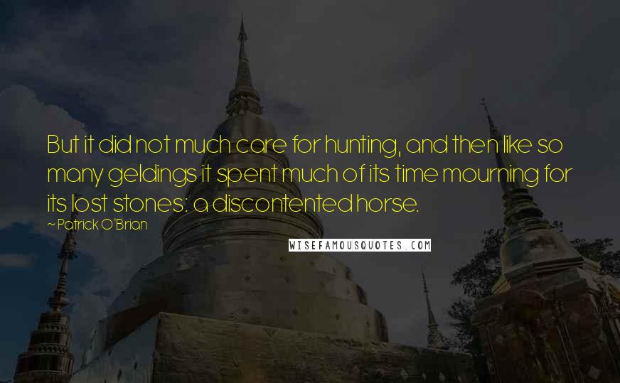 Patrick O'Brian Quotes: But it did not much care for hunting, and then like so many geldings it spent much of its time mourning for its lost stones: a discontented horse.