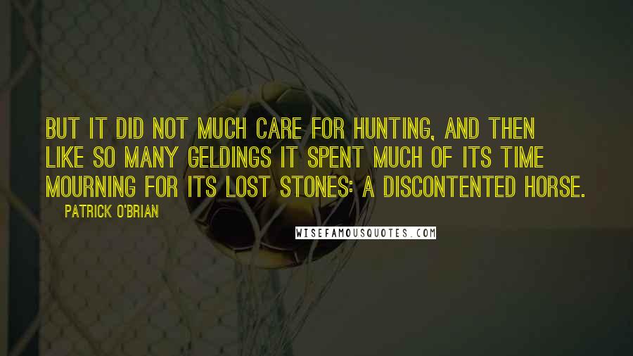 Patrick O'Brian Quotes: But it did not much care for hunting, and then like so many geldings it spent much of its time mourning for its lost stones: a discontented horse.