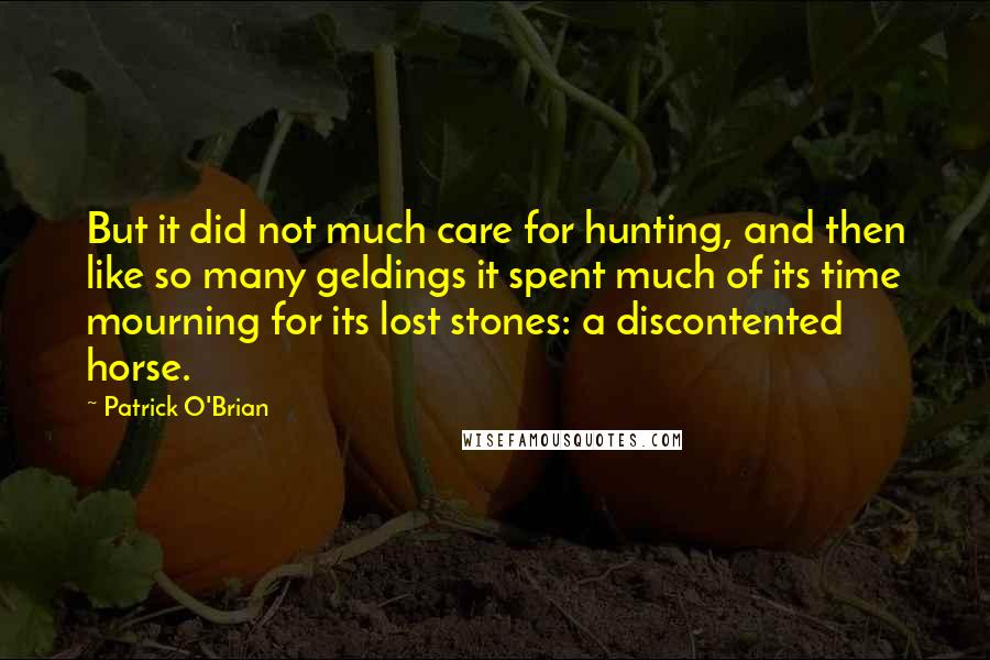 Patrick O'Brian Quotes: But it did not much care for hunting, and then like so many geldings it spent much of its time mourning for its lost stones: a discontented horse.