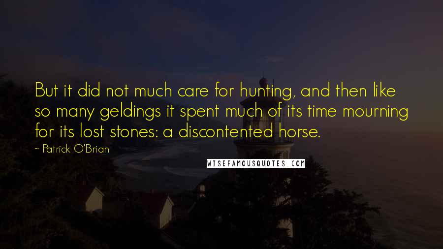 Patrick O'Brian Quotes: But it did not much care for hunting, and then like so many geldings it spent much of its time mourning for its lost stones: a discontented horse.