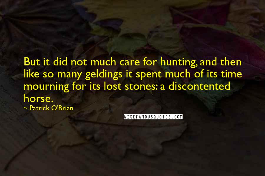 Patrick O'Brian Quotes: But it did not much care for hunting, and then like so many geldings it spent much of its time mourning for its lost stones: a discontented horse.