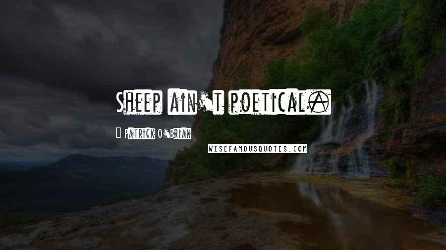 Patrick O'Brian Quotes: Sheep ain't poetical.