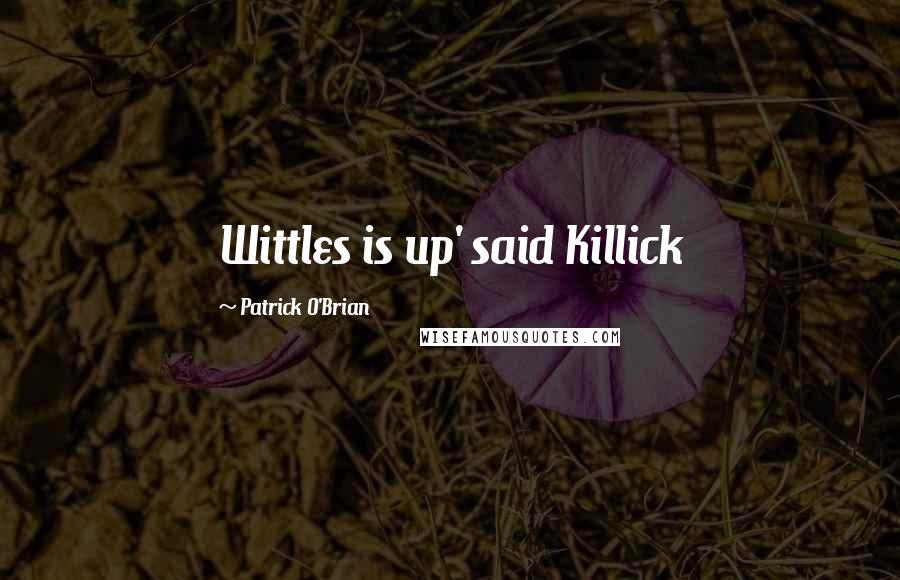 Patrick O'Brian Quotes: Wittles is up' said Killick
