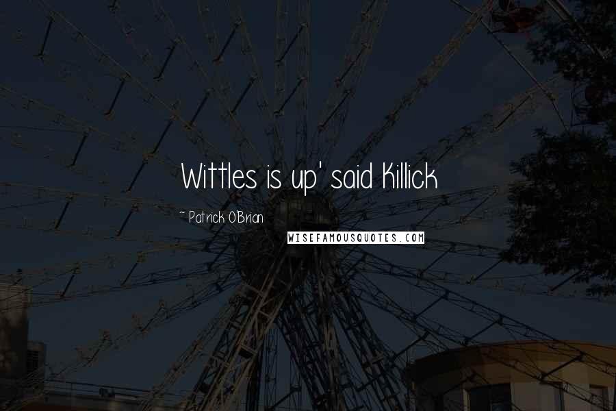 Patrick O'Brian Quotes: Wittles is up' said Killick