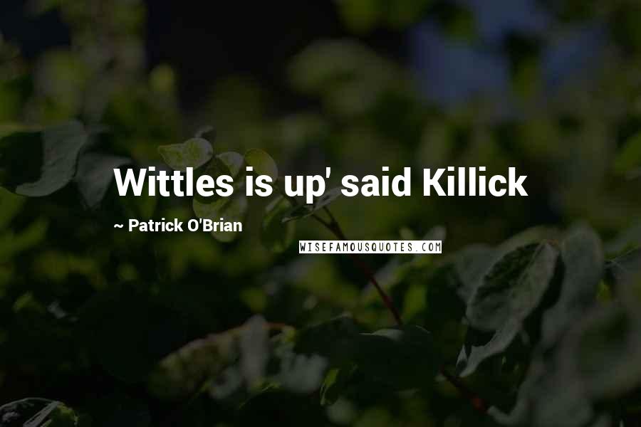 Patrick O'Brian Quotes: Wittles is up' said Killick