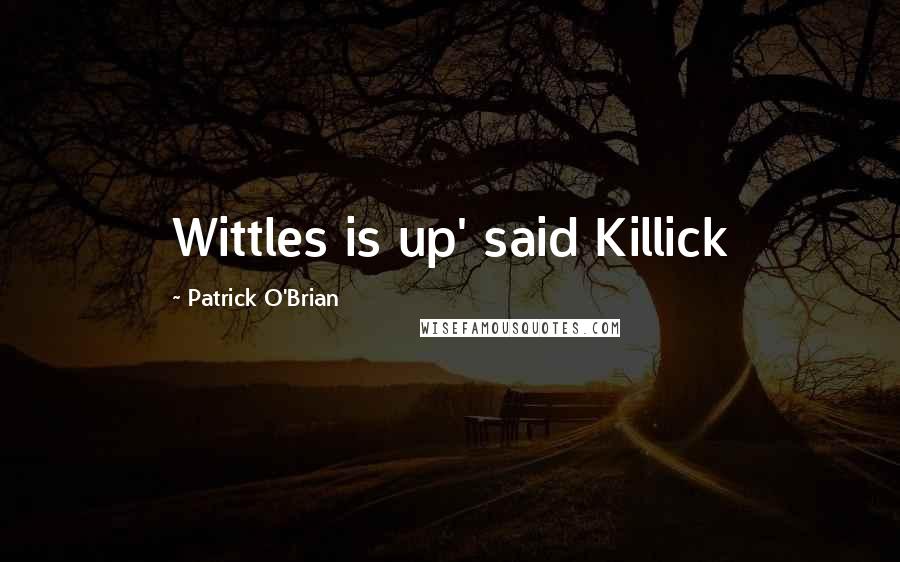 Patrick O'Brian Quotes: Wittles is up' said Killick