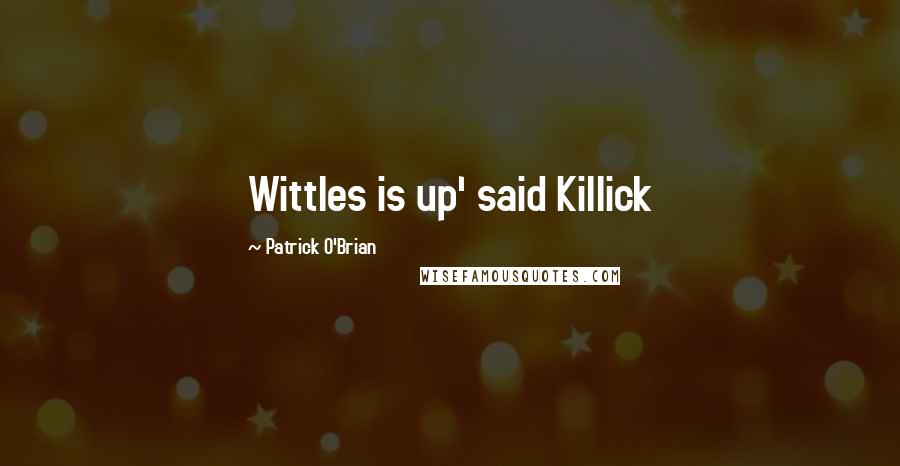 Patrick O'Brian Quotes: Wittles is up' said Killick