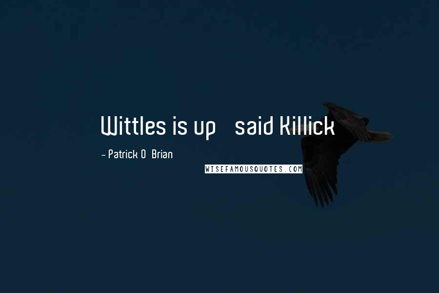 Patrick O'Brian Quotes: Wittles is up' said Killick