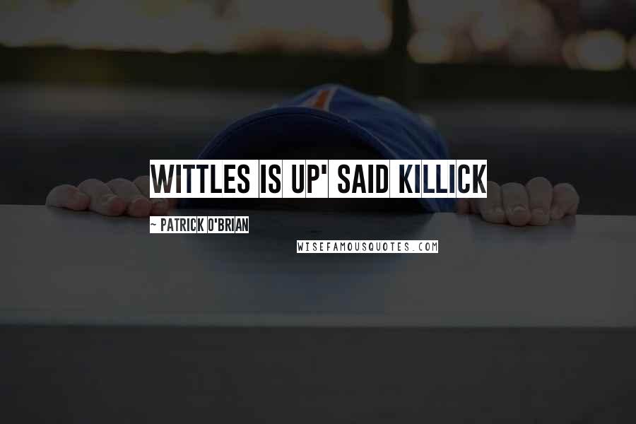 Patrick O'Brian Quotes: Wittles is up' said Killick