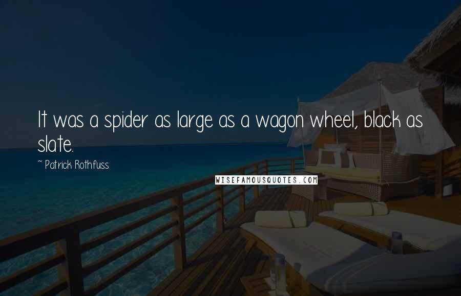 Patrick Rothfuss Quotes: It was a spider as large as a wagon wheel, black as slate.
