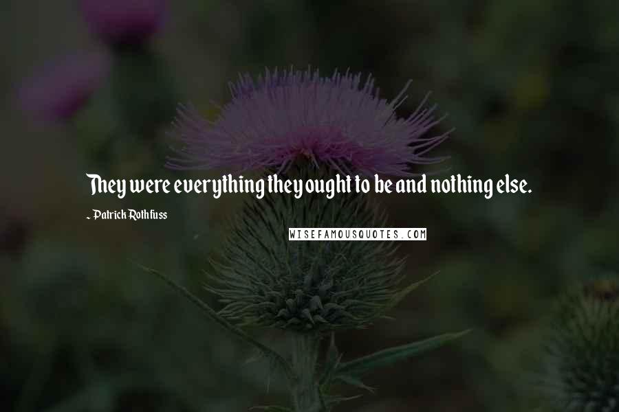 Patrick Rothfuss Quotes: They were everything they ought to be and nothing else.