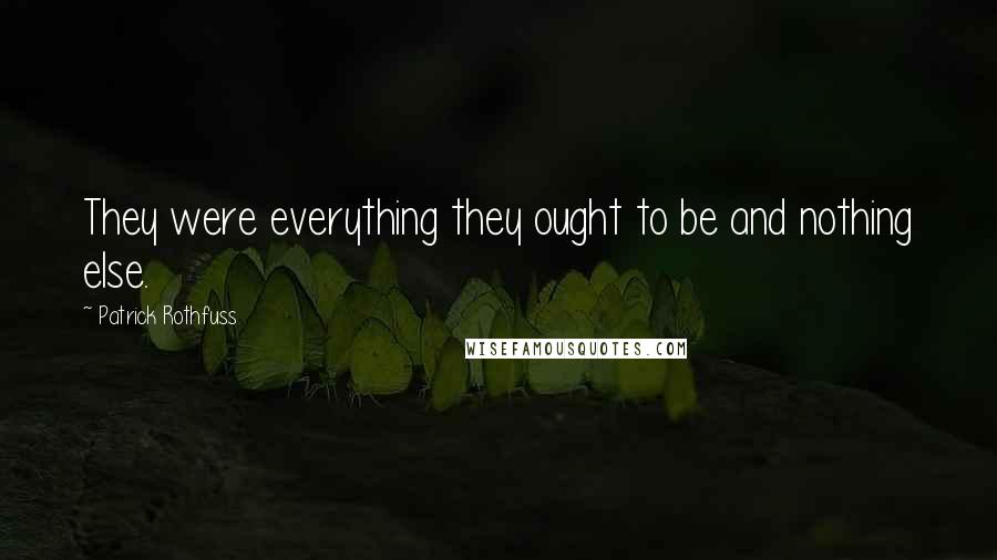 Patrick Rothfuss Quotes: They were everything they ought to be and nothing else.