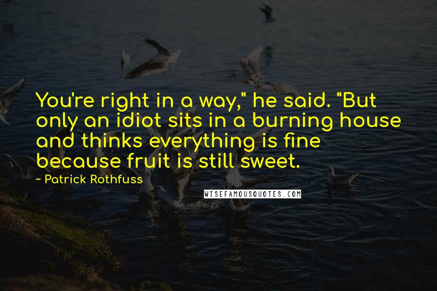 Patrick Rothfuss Quotes: You're right in a way," he said. "But only an idiot sits in a burning house and thinks everything is fine because fruit is still sweet.