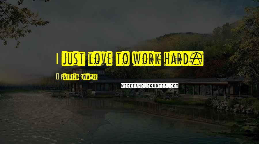 Patrick Swayze Quotes: I just love to work hard.