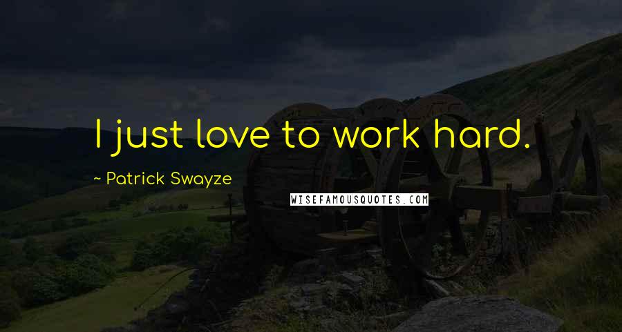 Patrick Swayze Quotes: I just love to work hard.