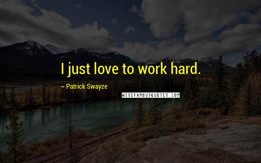 Patrick Swayze Quotes: I just love to work hard.