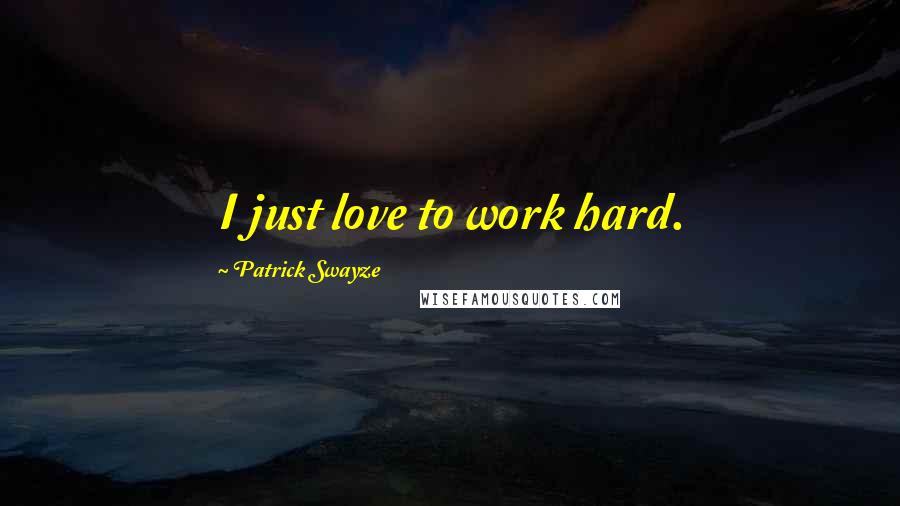 Patrick Swayze Quotes: I just love to work hard.