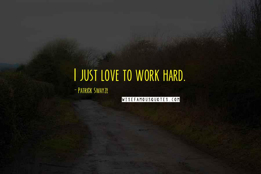 Patrick Swayze Quotes: I just love to work hard.