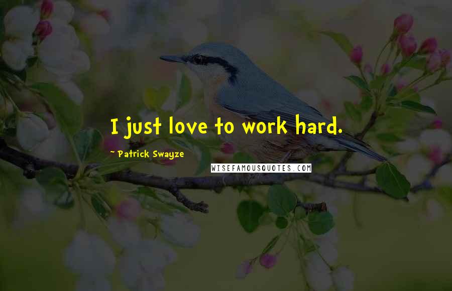 Patrick Swayze Quotes: I just love to work hard.